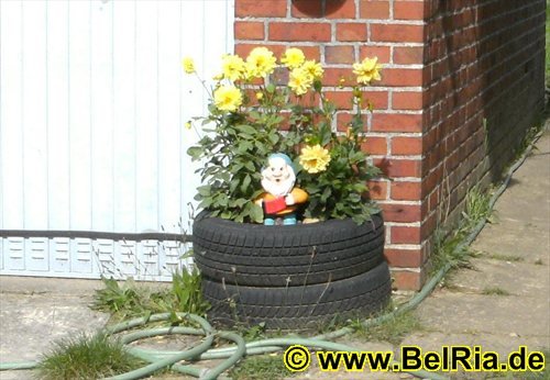 blumen0262008.jpg