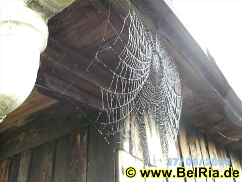 bild0315.jpg