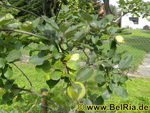 photo8.jpg