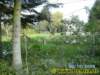 garten112008_small.jpg