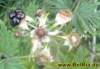 natur0252008_small.jpg