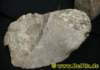 natur0442008_small.jpg