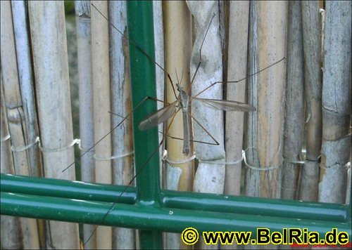 photo9.jpg