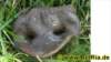 sonstiges0012008_small.jpg