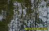 tschatten012008_small.jpg