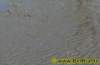 watt012008_small.jpg