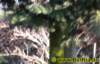 wirr001112008_small.jpg