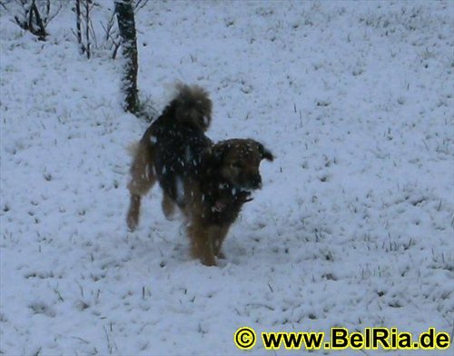 jacky035122008.jpg
