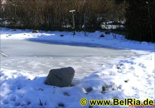 photo10.jpg