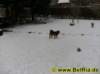 photo16_small.jpg