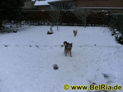 photo17.jpg