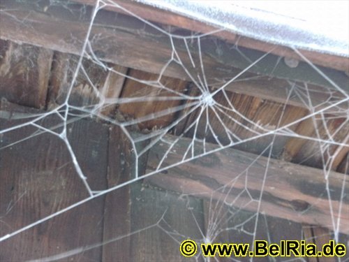 photo20.jpg
