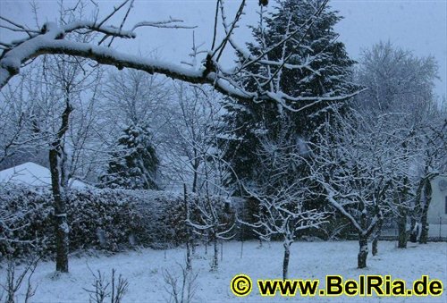 winter001122008.jpg