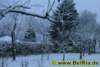 winter001122008_small.jpg