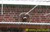 winter002122008_small.jpg
