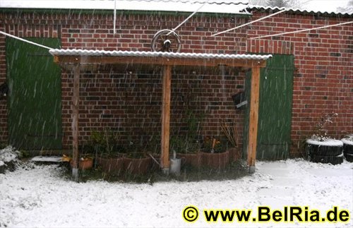 winter003122008.jpg