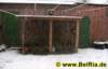 winter003122008_small.jpg