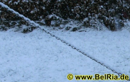 winter006122008.jpg