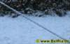 winter006122008_small.jpg