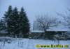 winter008122008_small.jpg