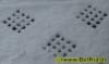 winter016122008_small.jpg