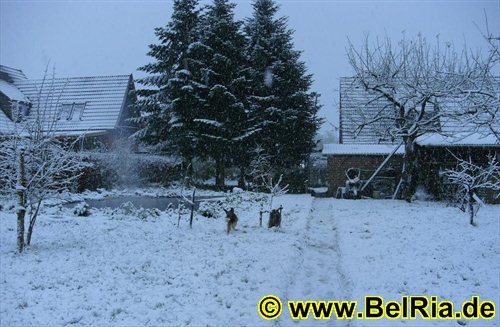 winter025122008.jpg