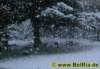 winter0302009_small.jpg