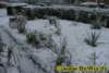 winter031122008_small.jpg