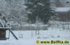 winter032122008_small.jpg