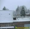 winter033122008_small.jpg