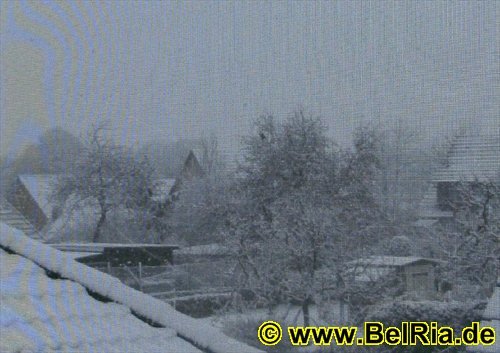 winter035122008.jpg