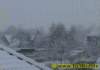 winter035122008_small.jpg