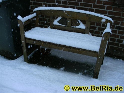 winter0452009.jpg