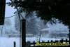 winter0502009_small.jpg