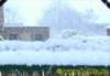 winter0532009_small.jpg