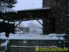 winter0572009_small.jpg