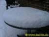 winter0592009_small.jpg