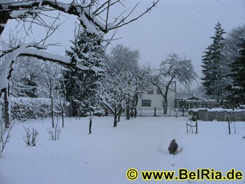 winter0682009.jpg