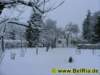 winter0682009_small.jpg