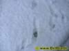 winter0752009_small.jpg