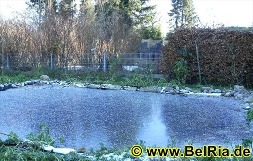 wteich019112008.jpg