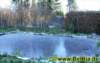 wteich019112008_small.jpg